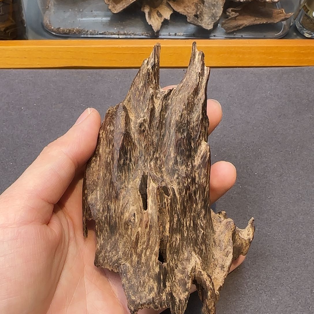 流***掣沉香碎屑沉香海南沉水紫棋21克