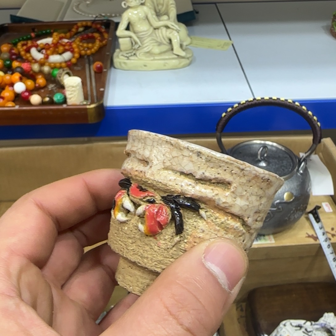 茶宠我们的生活是这样的