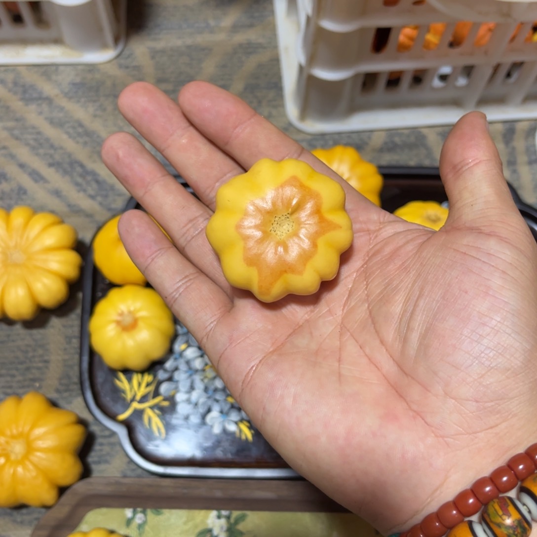 会**?葫芦家里就厉害了交流交流