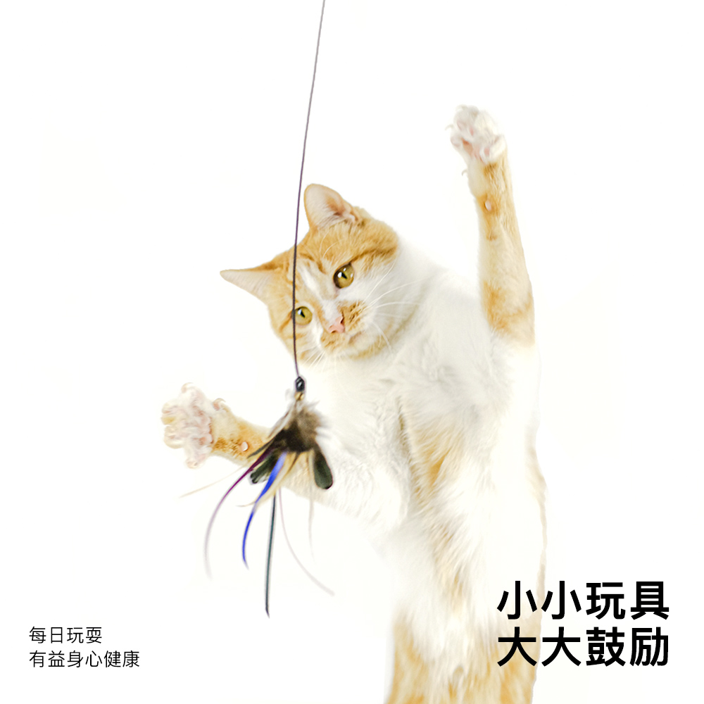 新品猫玩具逗猫棒猫咪宠物用品猫咪玩具七彩逗猫棒猫用品