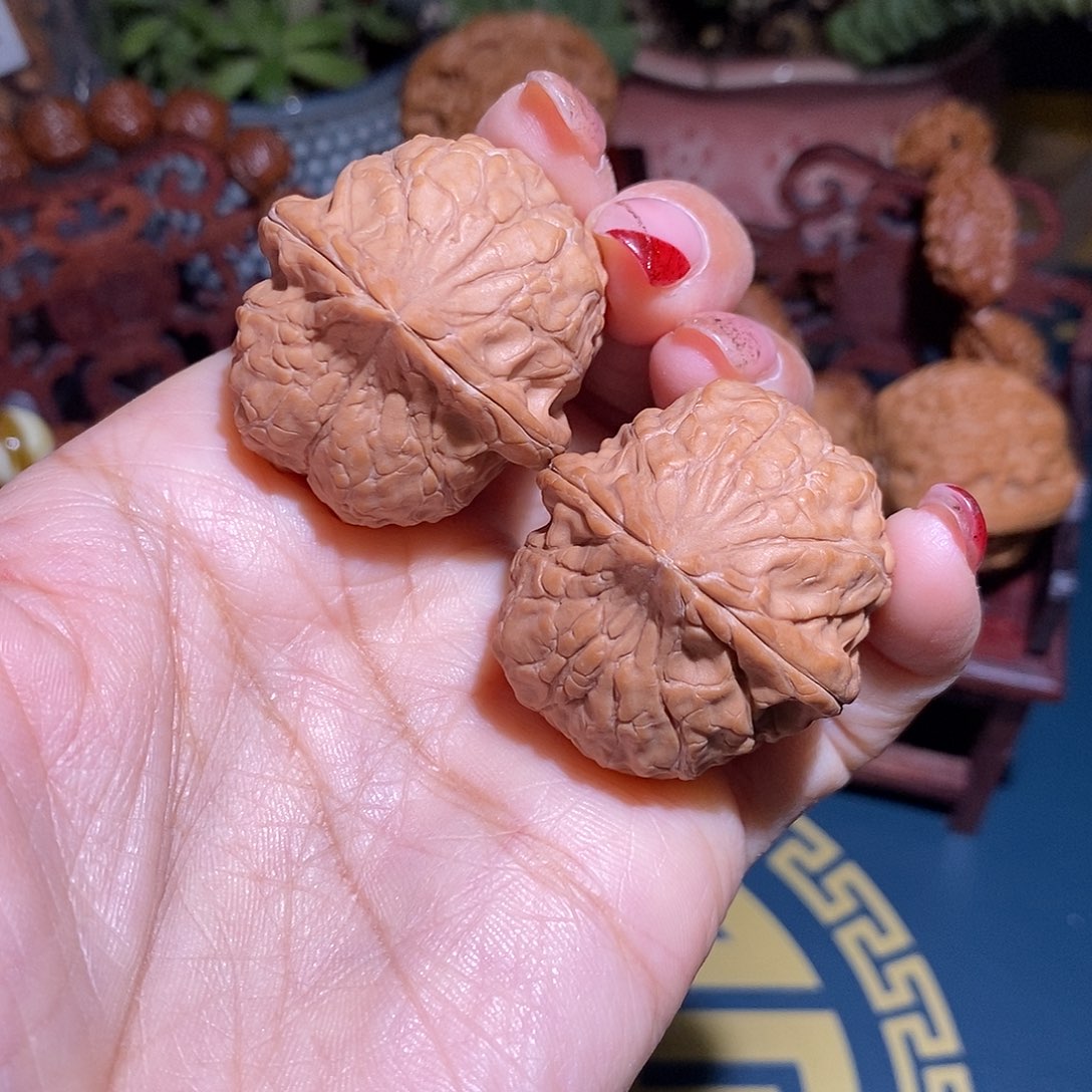 文玩核桃把件龟甲37