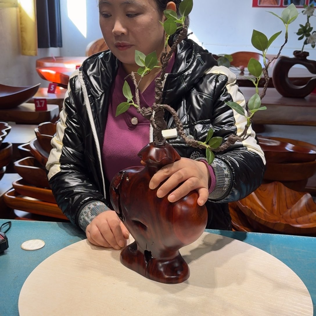 香樟木香樟25*23*8.5