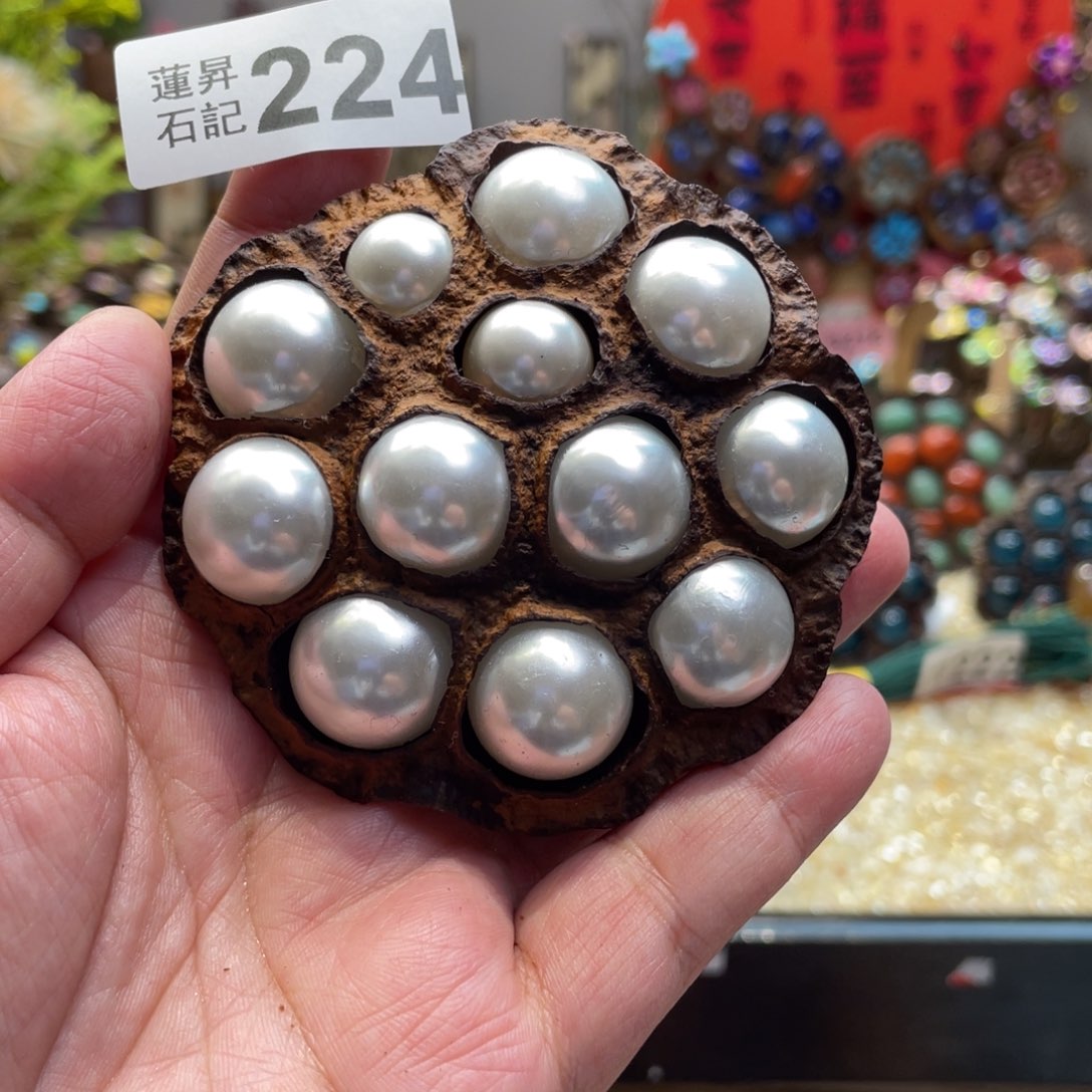 核桃木/黑胡桃（胡桃木）224