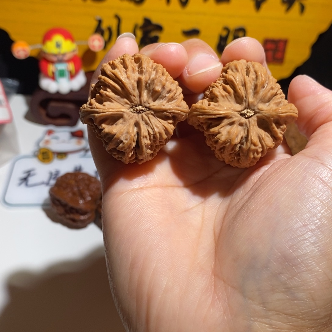 不***场大叶紫檀（黑酸枝木类）