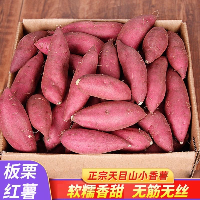 正宗临安天目山小香薯新鲜红薯黄心板栗味地瓜番薯山芋蜜薯白薯