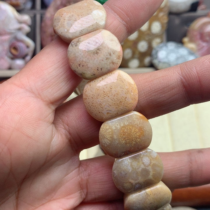 硅化珊瑚（珊瑚玉）颈饰未镶嵌