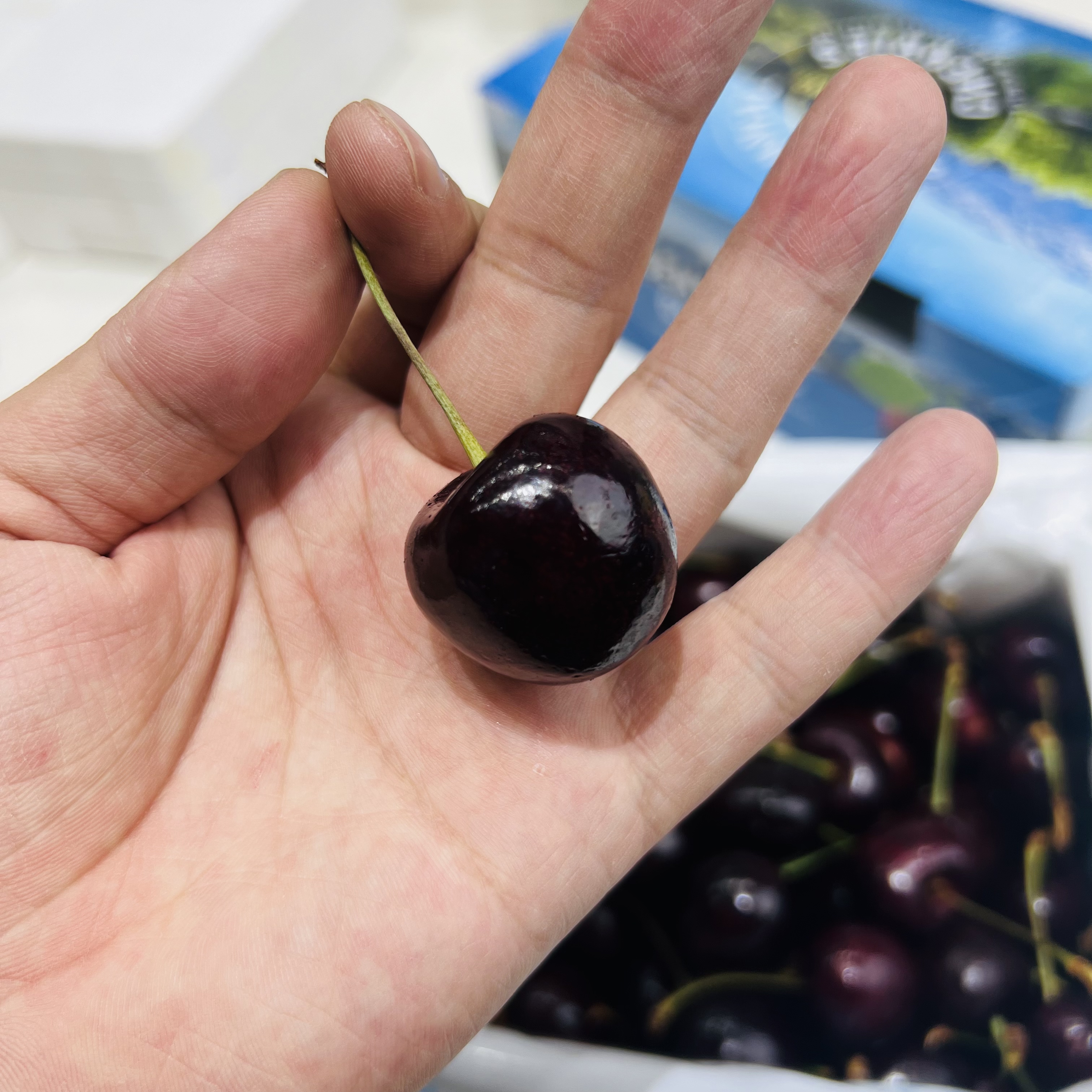 【磊哥心选】【3J】新西兰车厘子一盒净重1.5斤