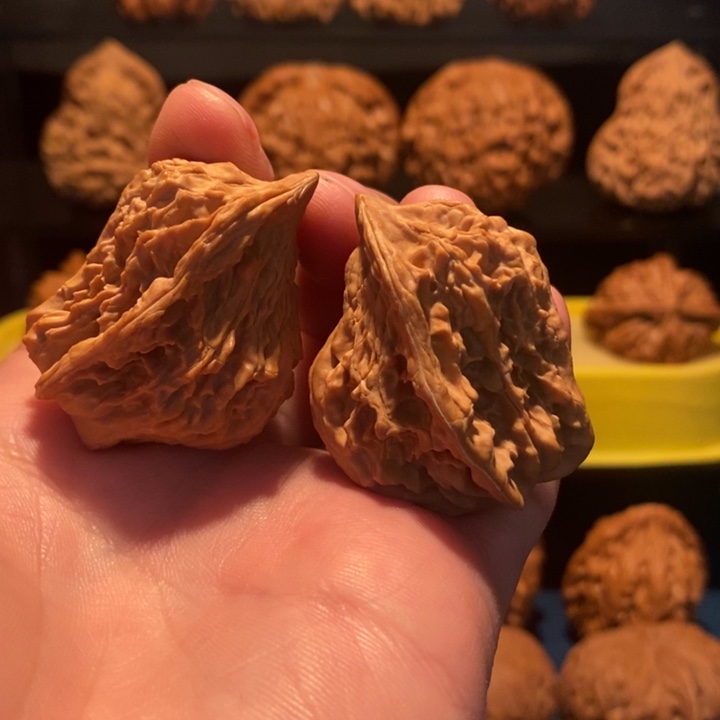手串/手链核桃异性小鸟
