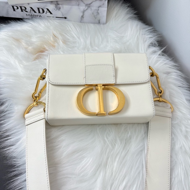95新 DIOR/迪奥 白金蒙田盒子单肩斜挎包s