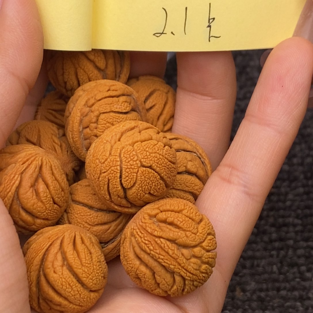 秦岭山脉龙纹桃核 13