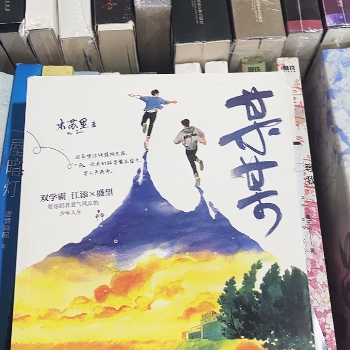 某某全新全套三本带周边未删减