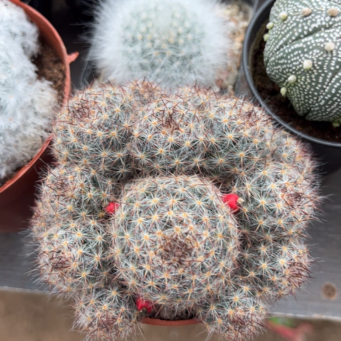 萤***萤零零落落 零零落落