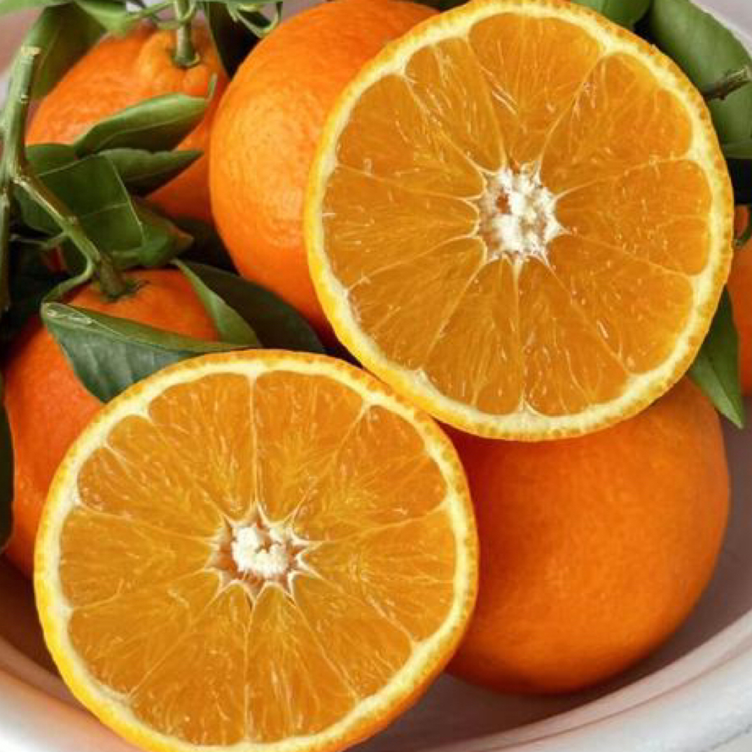 四川爱媛果冻橙6斤黑龙江省