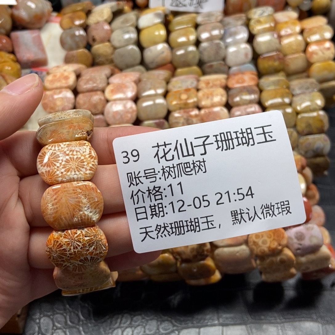 树***树硅化珊瑚（珊瑚玉）未镶嵌珠宝半成品39