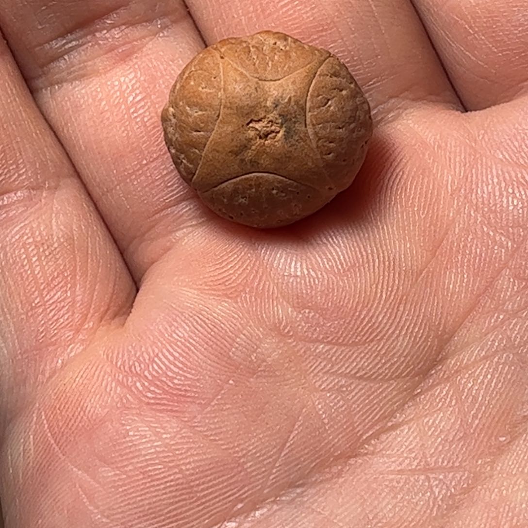 桃核吊坠19.8mm麒麟眼，开孔不退，偏远不包