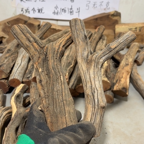 大果紫檀（缅甸花梨）随*