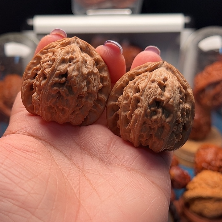 文玩核桃把件三角白 头茬对