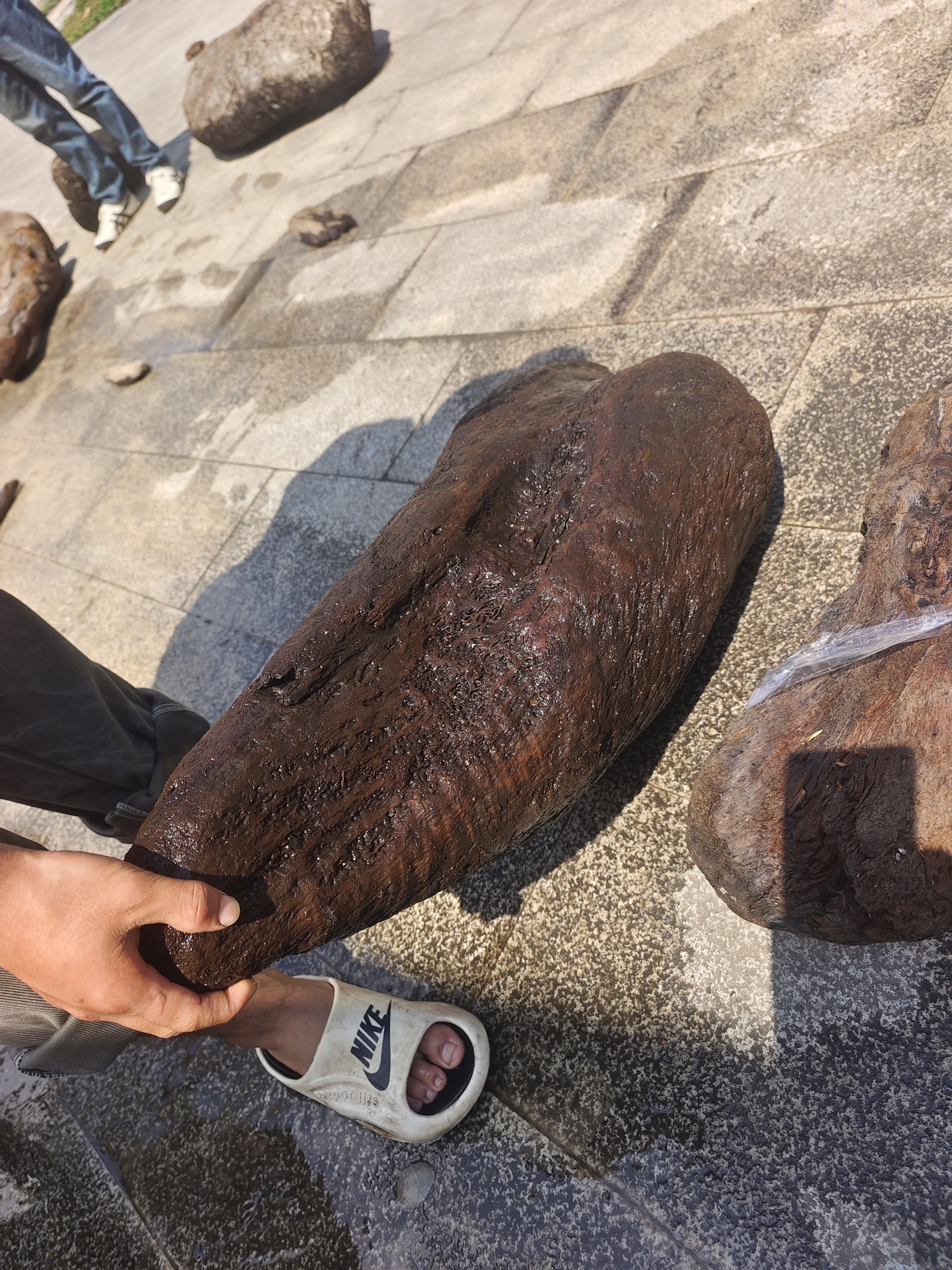 民间使用风化木漂流木