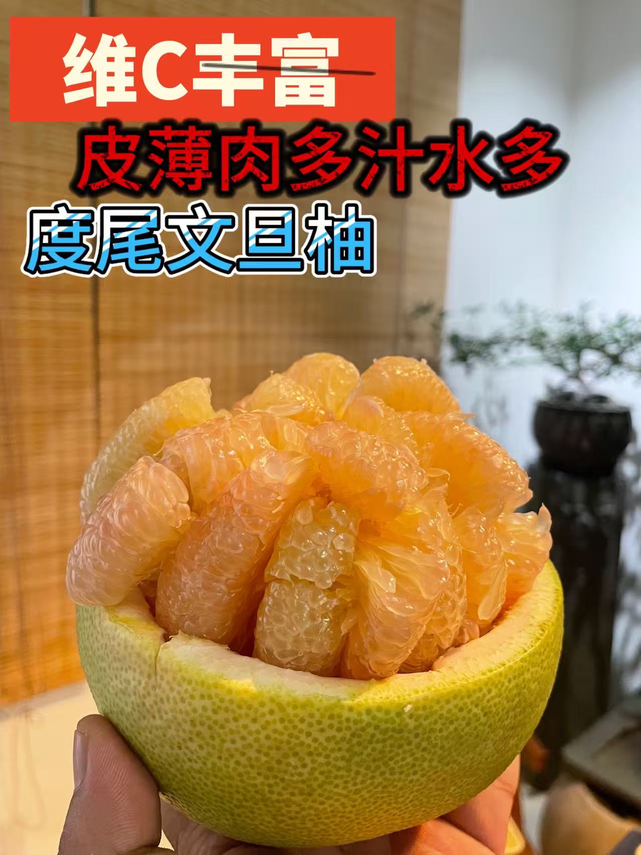 【正宗】仙游度尾文旦柚精品特级果30年老树新鲜采摘当季孕妇水果