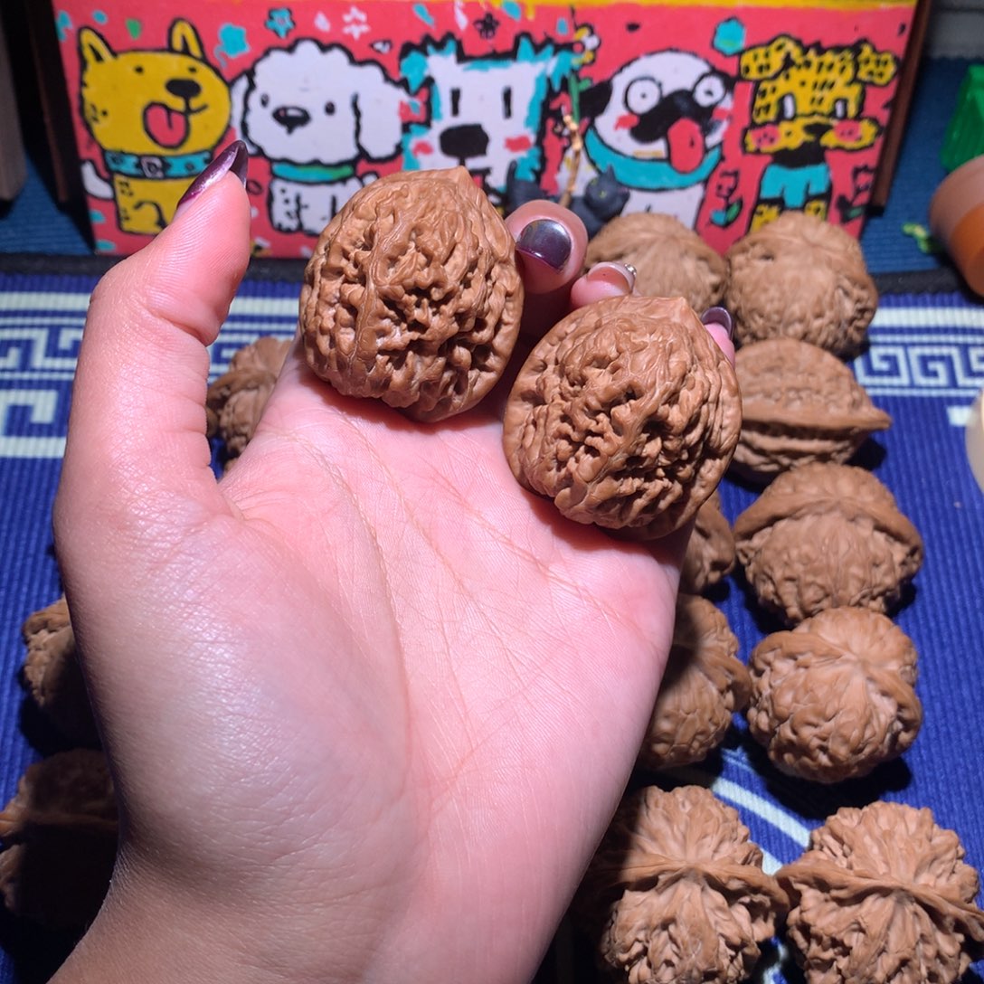 37➕凤凰台503 11111111