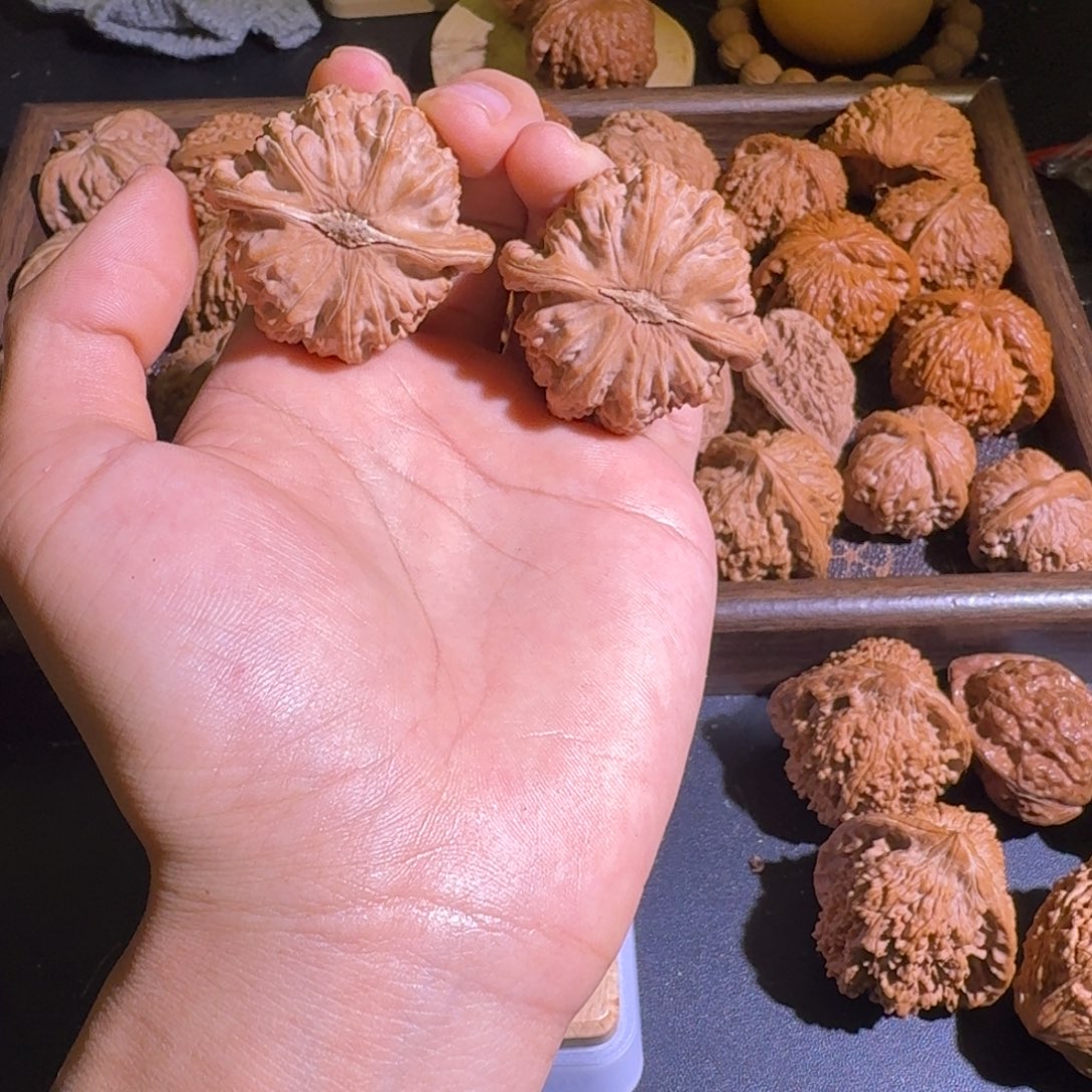 河***鹤哈哈哈哈哈哈哈哈哈哈