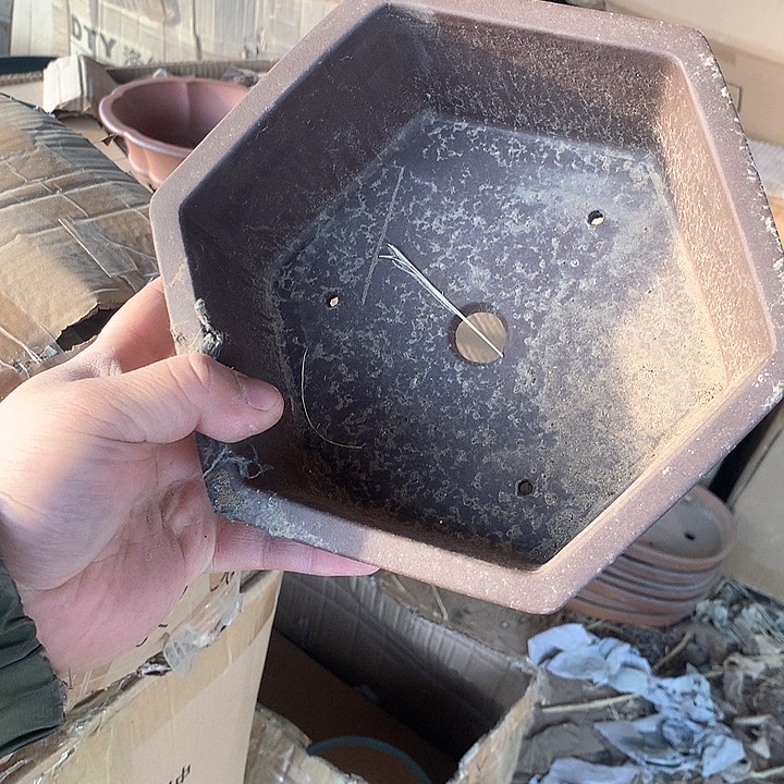 紫砂没有那么重要的人在