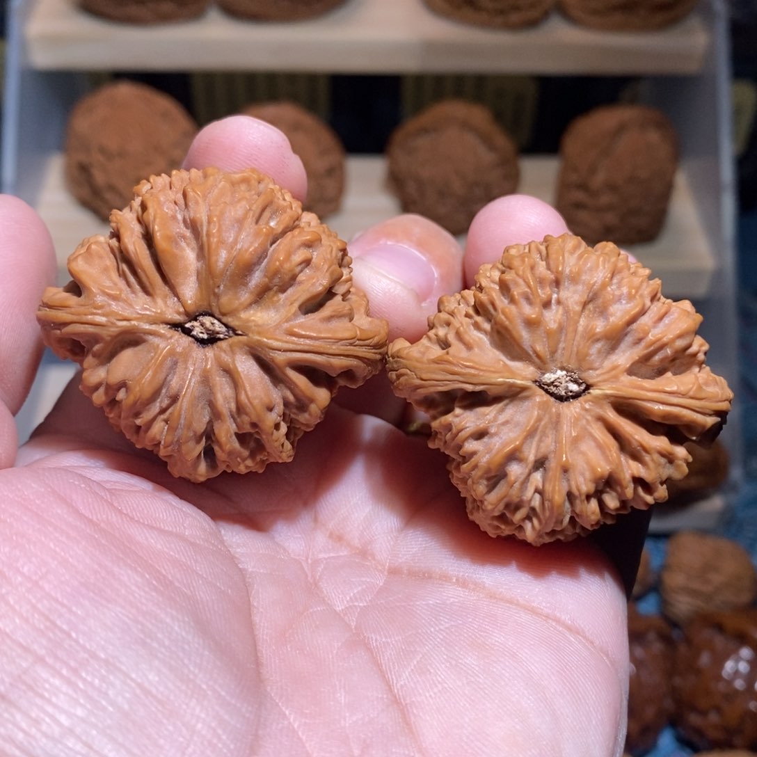 吊坠文玩核桃15年涿鹿老树南疆石