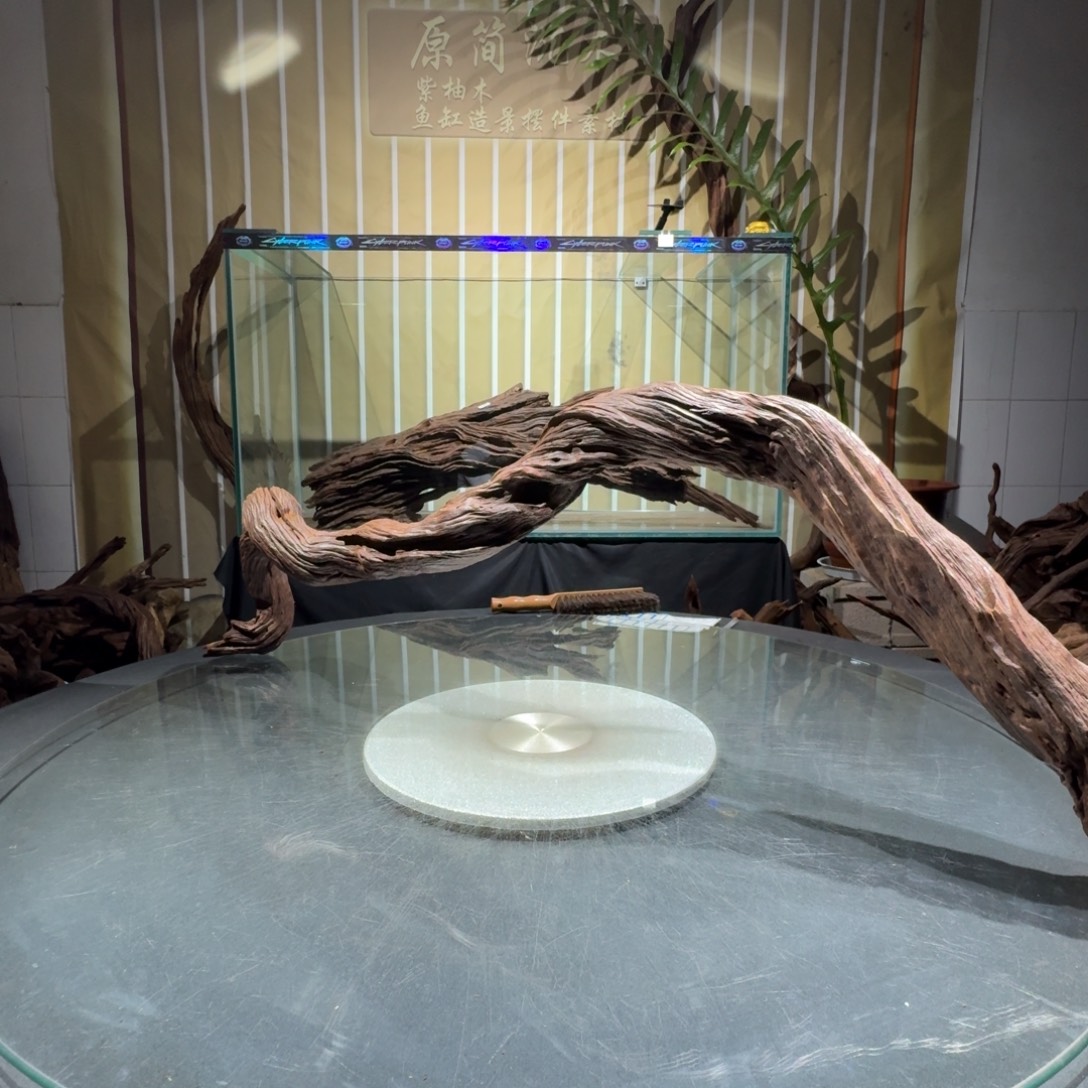 大***满柚木一物一拍鱼缸造景