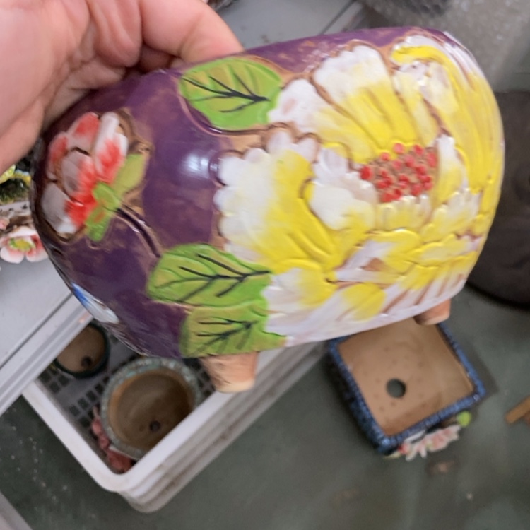 【闪购商品】红陶福利福利福利福利