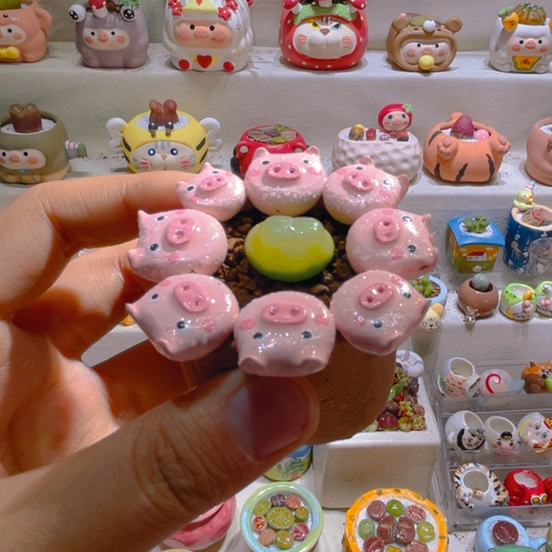 022拉登1.9厘米带盆土一套138