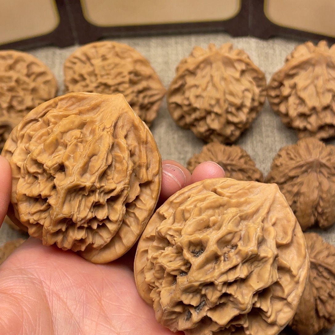 ノ***话核桃秦岭核桃12号（有色差）