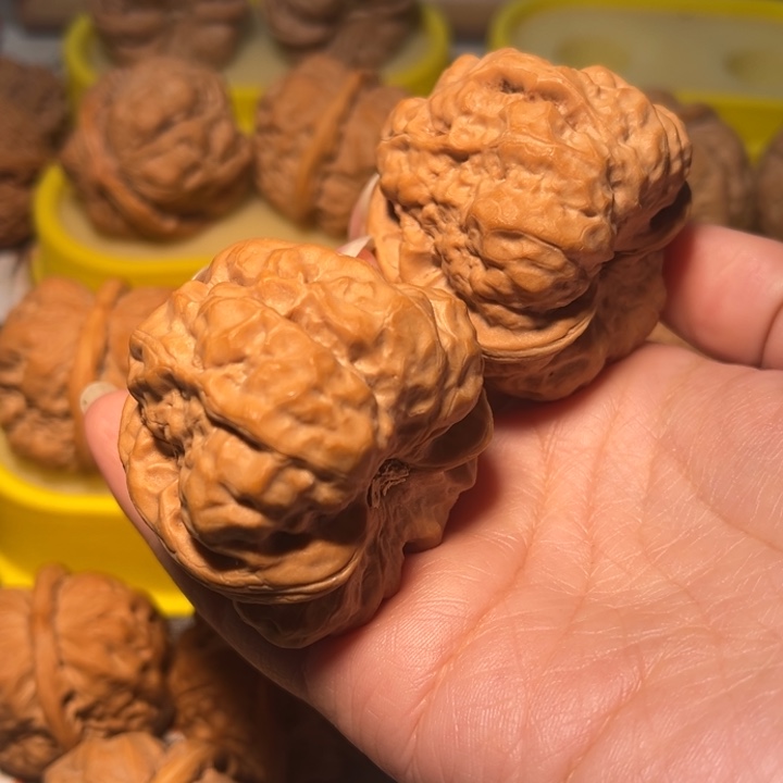 核桃蛙蛙44三角大尖。。。。。。。。