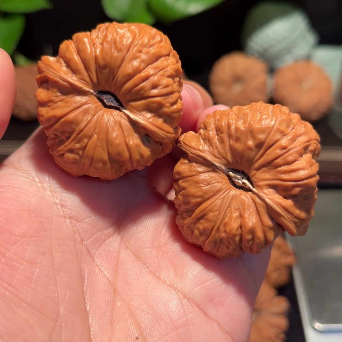 【闪购商品】文玩核桃把件南瓜墩