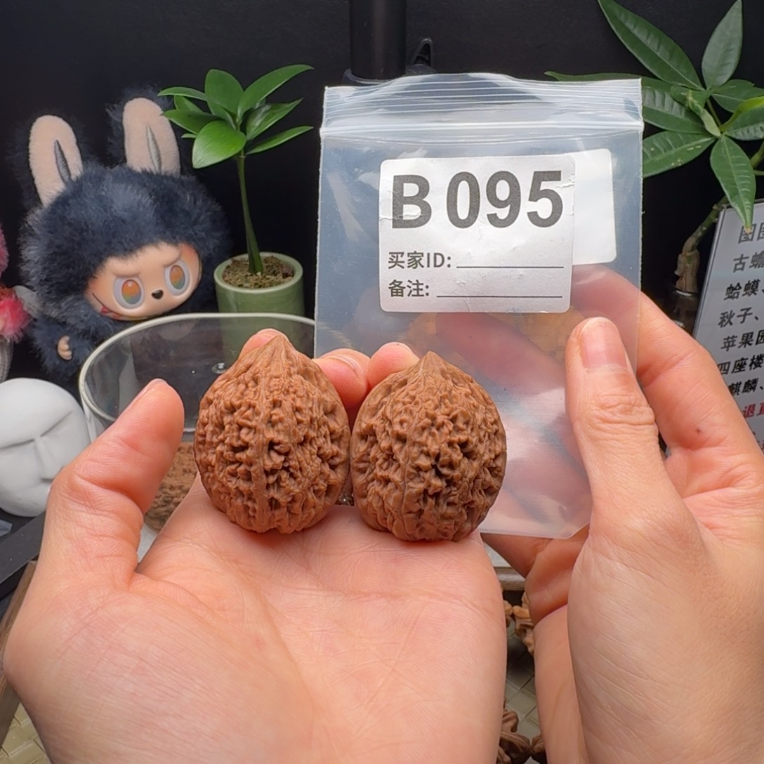 龙脊菩提把件全品大蒜头34