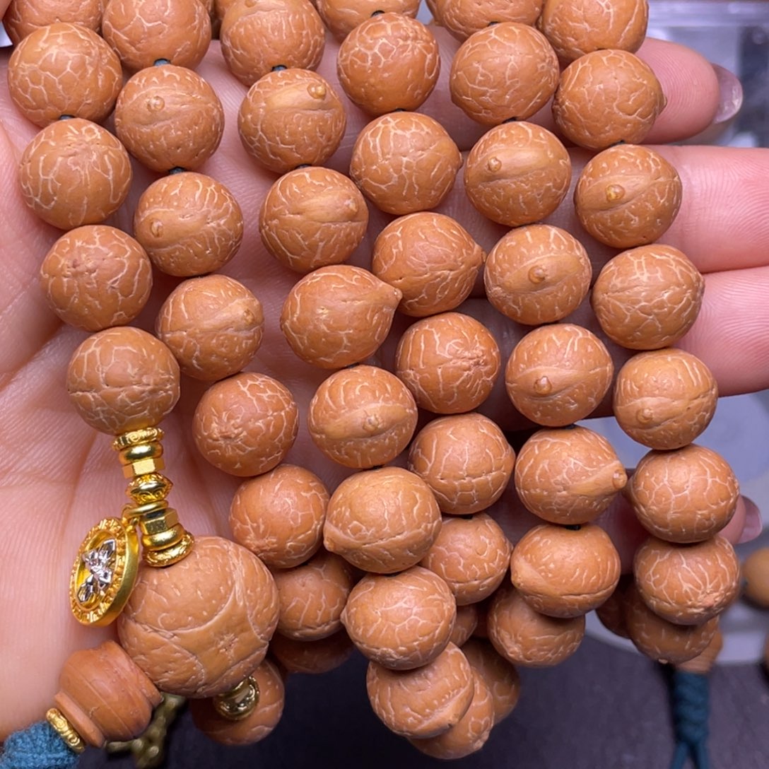 吊坠凤眼菩提尼泊尔凤眼菩提