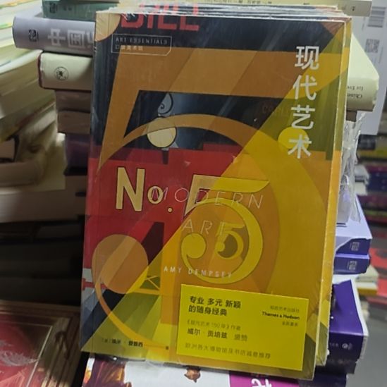 现代艺术，平装务必塑封小微瑕