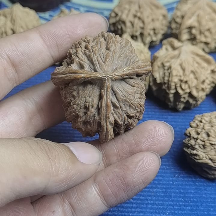 喵***喵核桃手串/手链裂了