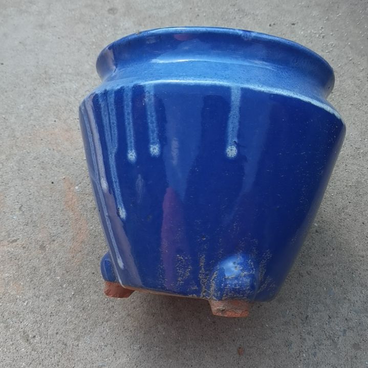 红陶20/20瑕疵一个