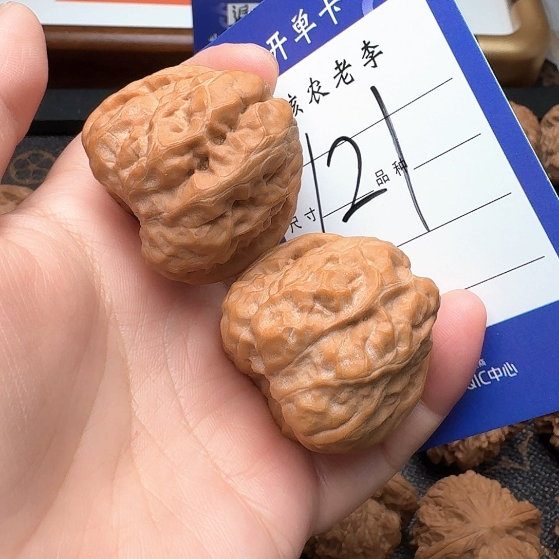 文玩核桃把件金蟾36尺