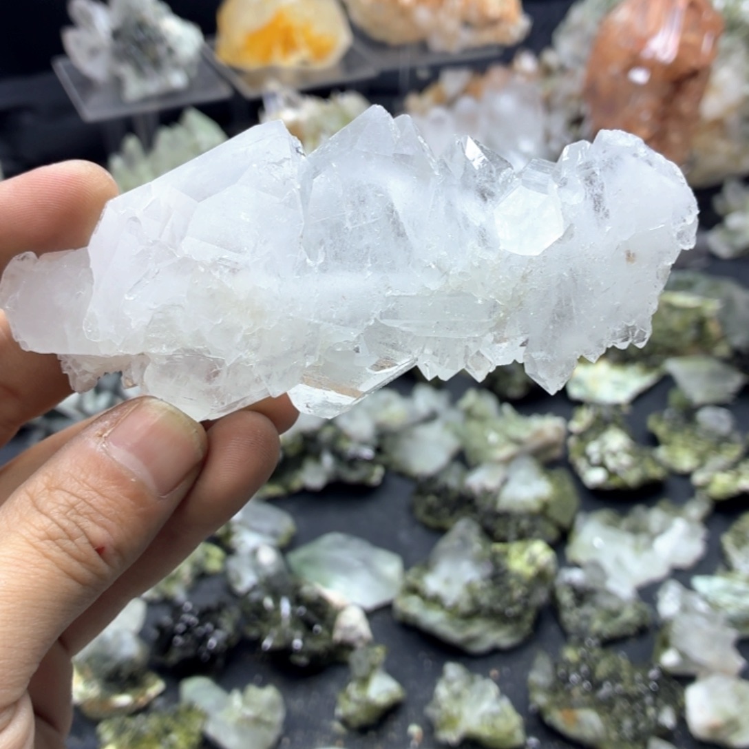 石材六个脚趾（从欧）