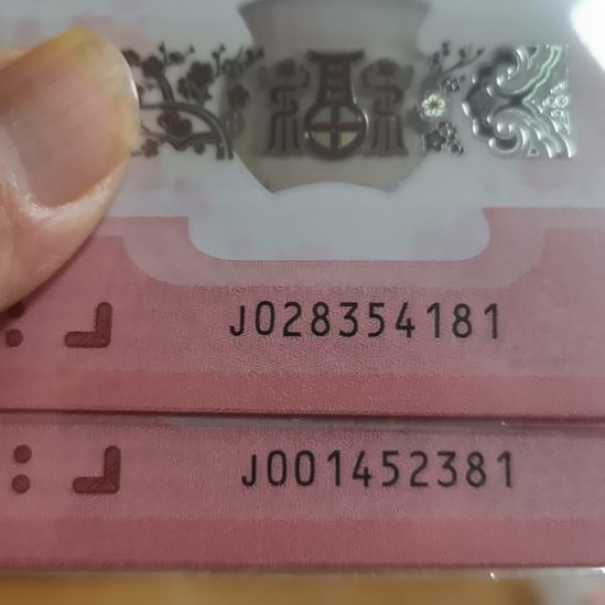 其他普通金属蛇标十尾81组