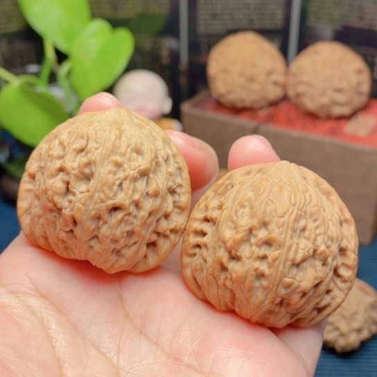 文玩核桃吊坠41全品泥鳅背