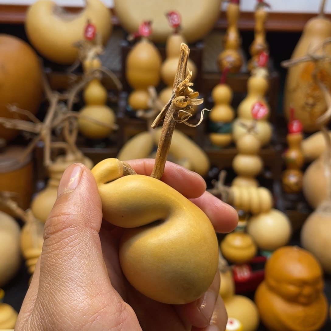 小***✨葫芦头的做法是用来做菜