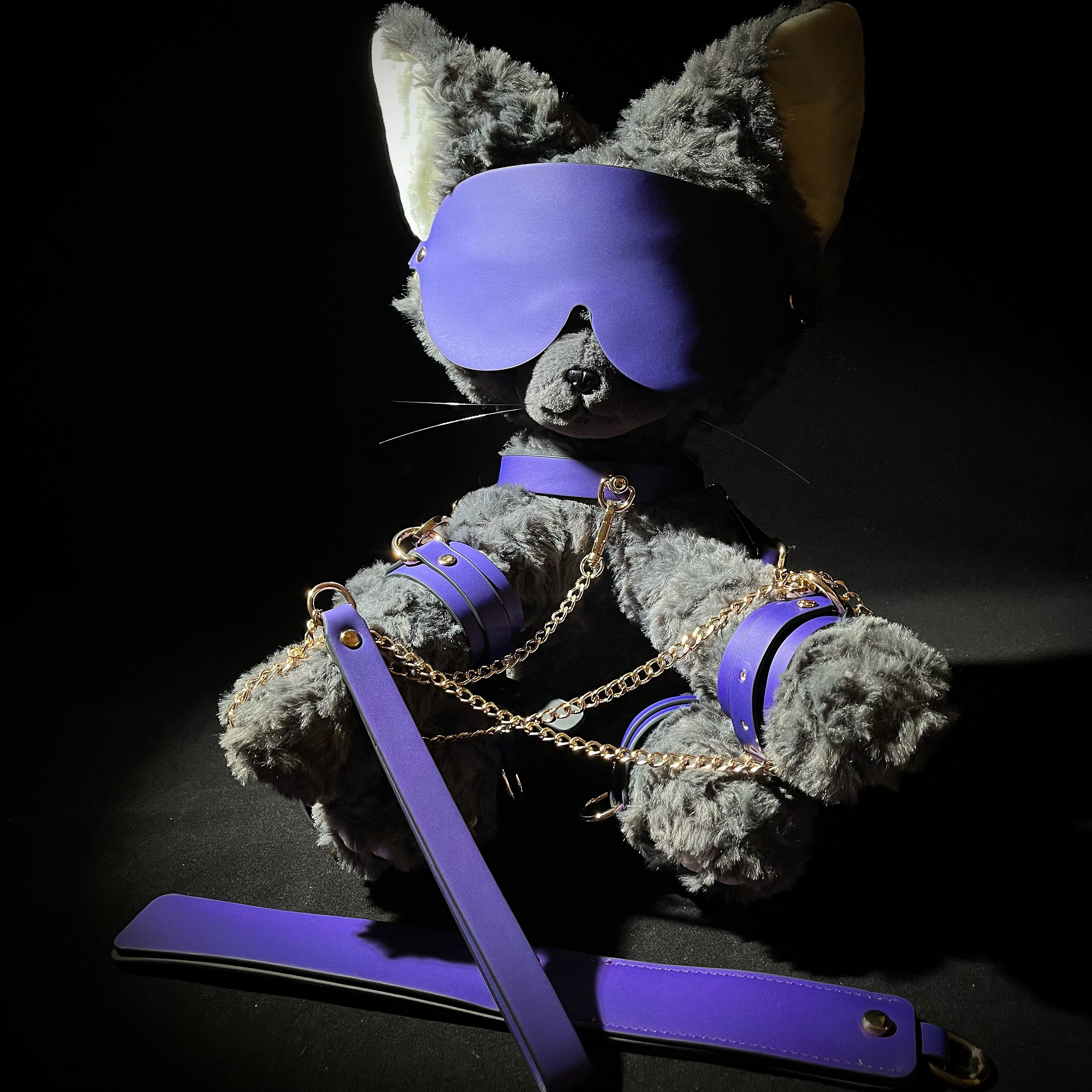 【莫一猫】温变九件套 小众全套宠物用品约会礼物加同款温变收纳袋