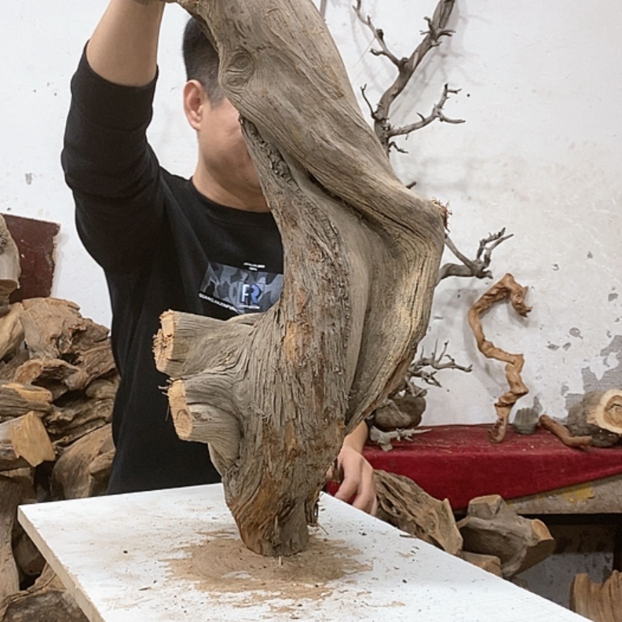 【闪购商品】柏木用****3我们都是好孩子