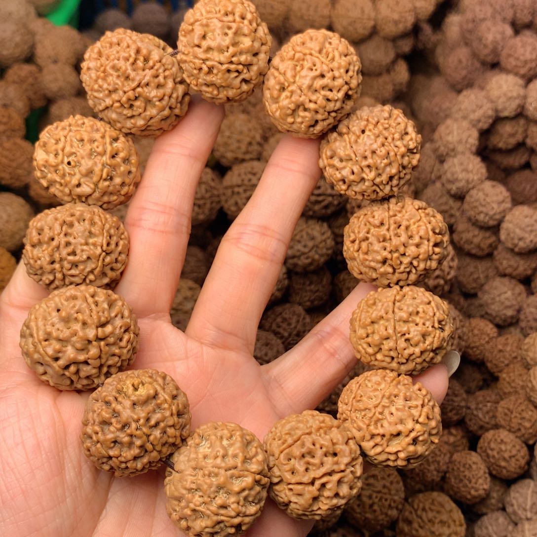 木8瓣爆肉卡26尺寸，77号