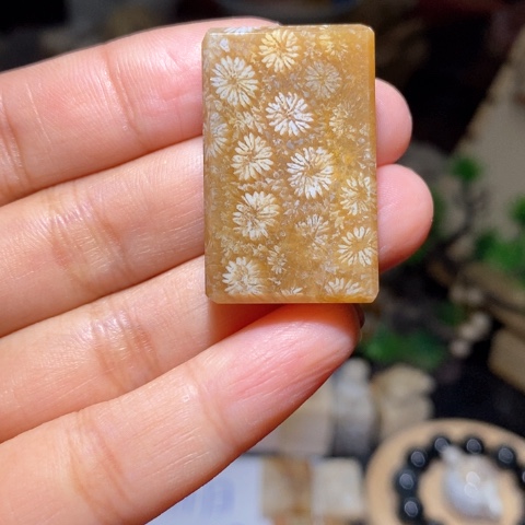 【闪购商品】硅化玉吊坠(不含链)未镶嵌