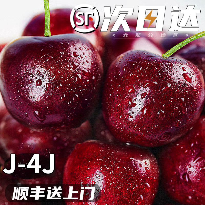 顺丰海运智利车厘子桑缇娜J-5J级进口大樱桃水果内附果径卡