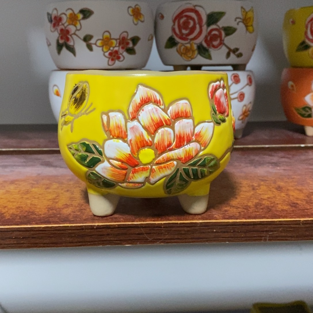 韩式多肉植物花盆