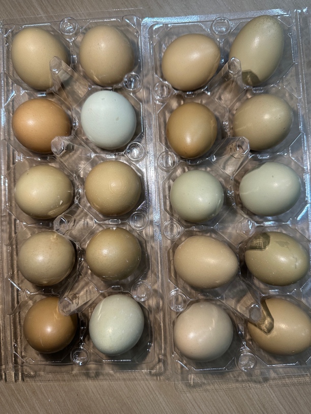 桐柏村山鸡蛋礼盒装（顺丰包邮到家）